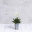 Pot à fleurs avec égouttoir Sewstone Artstone-1328659523-1328659520
