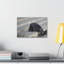 No Frame Print on Canvas-2134104438