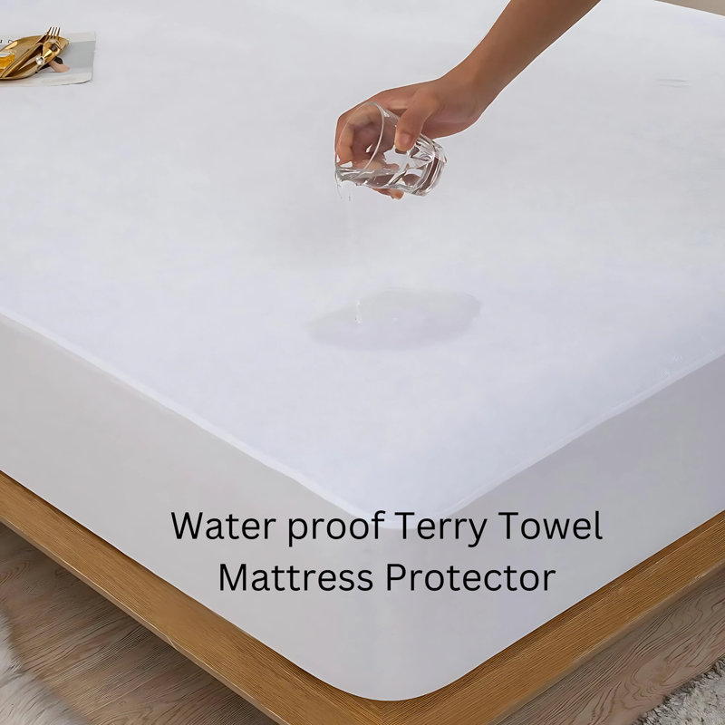 Fitted Mattress Protector Case Pack, Double (4'6)