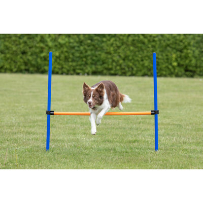 Agility Hurdle for Dogs