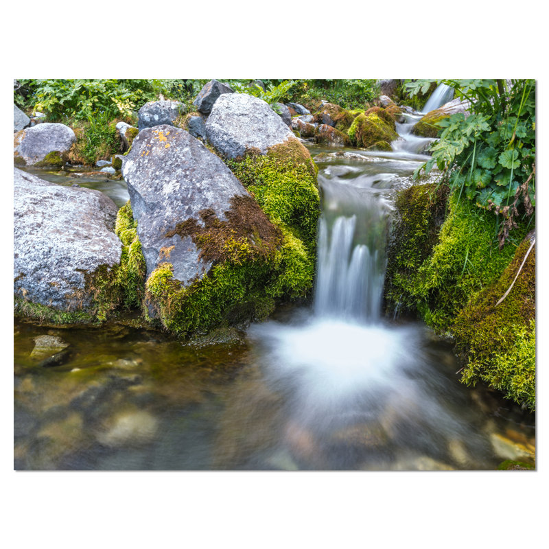 «Summer Water Stream», reproduction de photo sur toile tendue, H 8 po x l 12 po x P 1 po