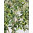 94" Large Artificial Olive Tree,Artificial Tree,Faux Tree