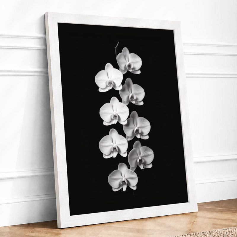 Orchids in Shadow Botanical - Framed Print, A2 - 59.4 x 42.0 cm, White