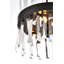 Luminaire suspendu rond en cristal Athol 12 pouces noir-1033408596-1033430242-944672042