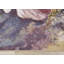 Tapis d'intérieur botanique organique de 8 pi x 11 pi (7 pi 10 po x 10 pi 6 po) Branch-107448822