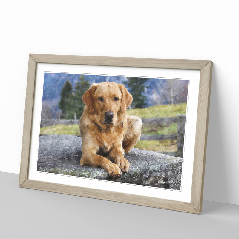 Golden Labrador Dog Vol.2 - Framed Print, Oak Framed, 36cm H x 48cm W x 2cm D