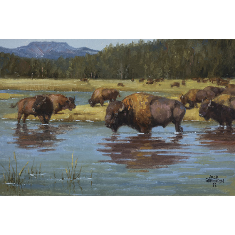 Buffalo Crossing by Jack Sorenson - Wrapped Canvas Painting, 30cm H x 46cm W