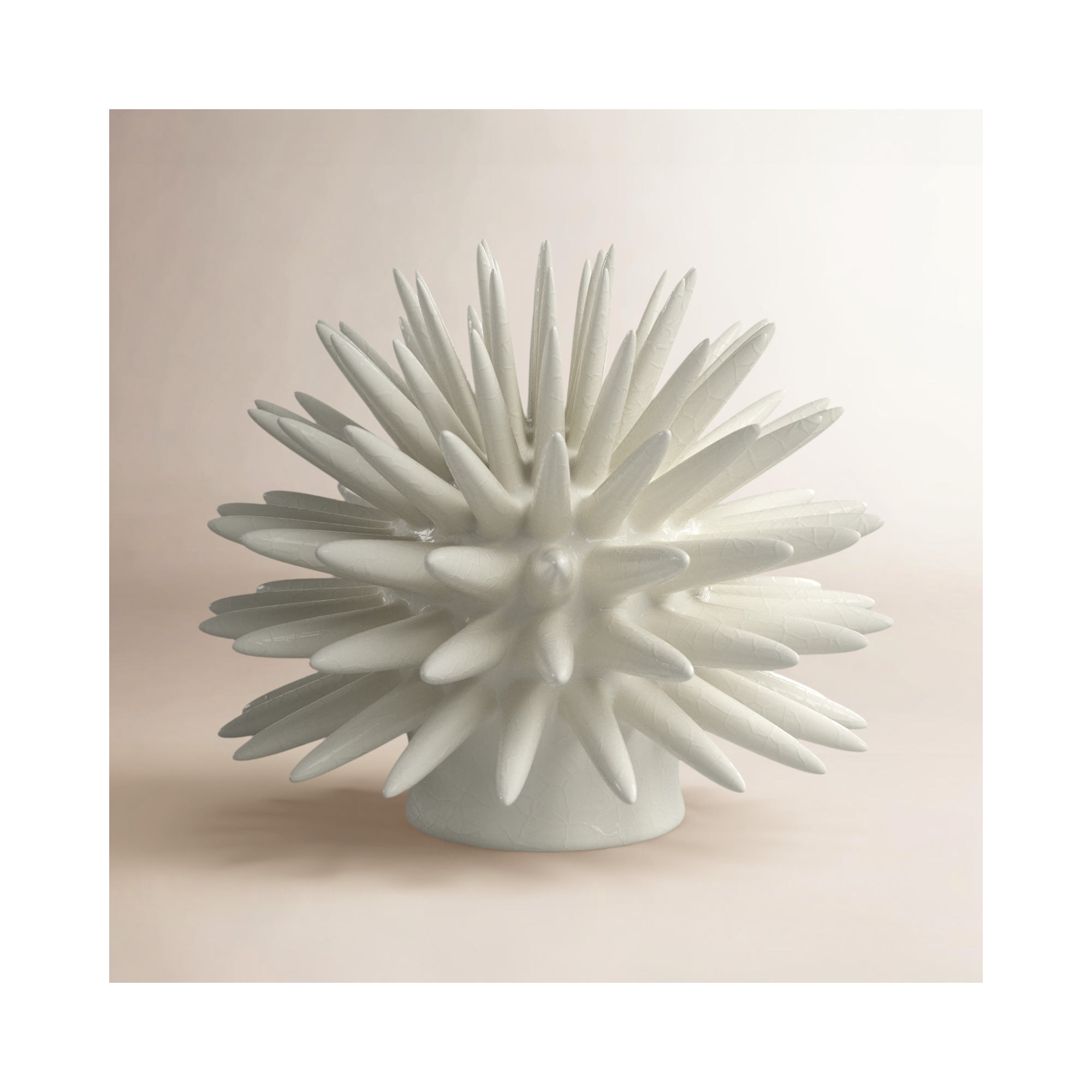Rader Coral Sculpture