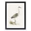 Grey Heron by Von Wright - Picture Frame Painting Print-55736263-55736267