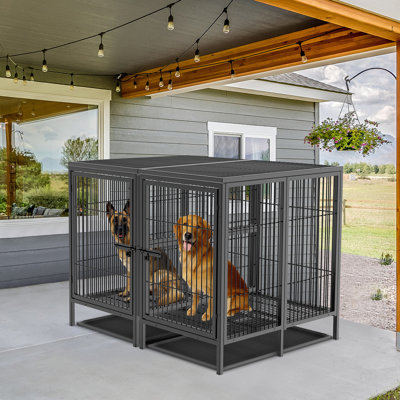 Duval 52" Dog Crate With Divider for 2 Large Medium Dogs