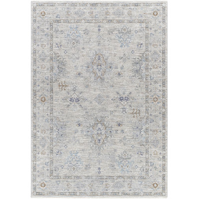 Mathewson Oriental Indoor Rug