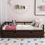 Lit de jour extensible avec couchette, lit de jour en bois avec couchette, espresso-341313198