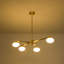 Lustre en verre et ellipse Priella-691388769-691388770