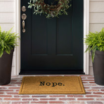 Wayfair  Thin (0.2 - 0.4 in.) Doormats You'll Love in 2024