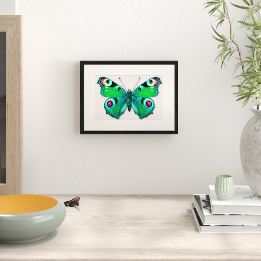 Gerahmtes Poster Schmetterling-Serie 18