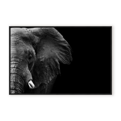 Nature Inspired Elephant by  - Picture Frame Photograph on Paper