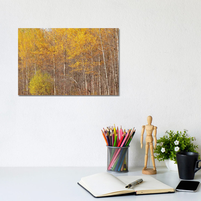 Gunflint Trail Colors by Brian Wolf - Wrapped Canvas Print, 20.32cm H x 30.48cm W x 1.91cm D