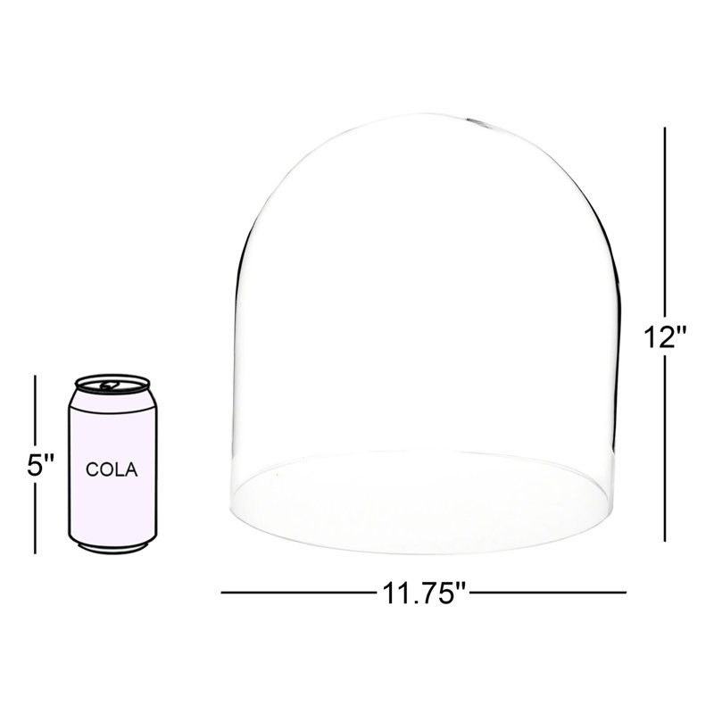 Vucciria 11.75" x 12" Glass Display Dome Cloche, No Base