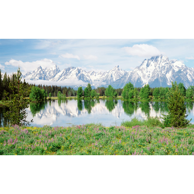 Landscape & Nature Non-Wall Damaging Window Decal, 40" H x 80" W x 0.02" D