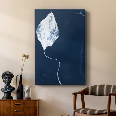 Cyanorphe feuille I - galerie Cavas sur mesure