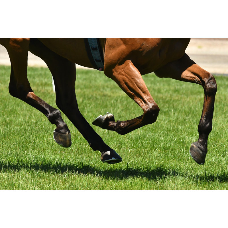 Horse Racing Action by Quentinjlang - Wrapped Canvas Print, 20cm H x 30cm W