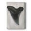 Aquarelle Sharks Tooth I - galerie sur mesure-1193263614
