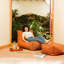 Fauteuil à billes et chaise longue Alpine-129067917