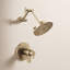 Litze Thermostatic Shower Faucet with TempAssure-1346728700-1346728675