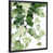 Black Framed Canvas is unavailable