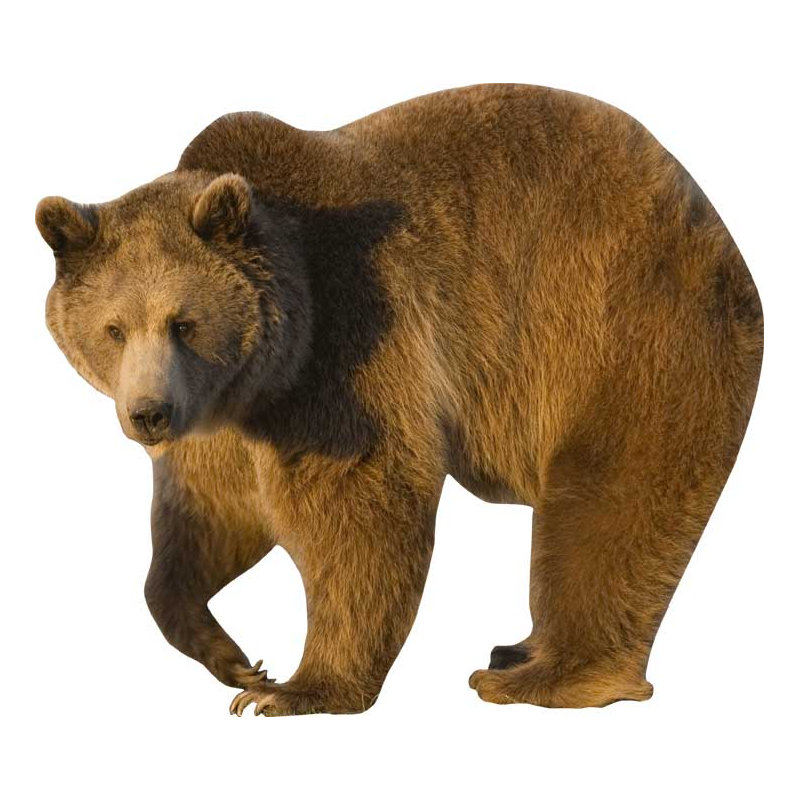 Animals Non-Wall Damaging Wall Decal, 42" H x 48" W