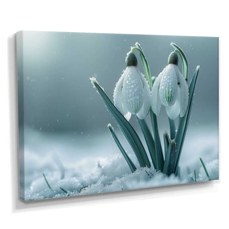 Photo de perle blanche en hiver, H 12 po x l 20 po x P 1 po, Toile tendue
