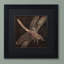 «Dragonfly» par Jadaya, impression encadrée-20096376-20096375