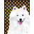American Eskimo