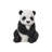 Panda Cub Sitting