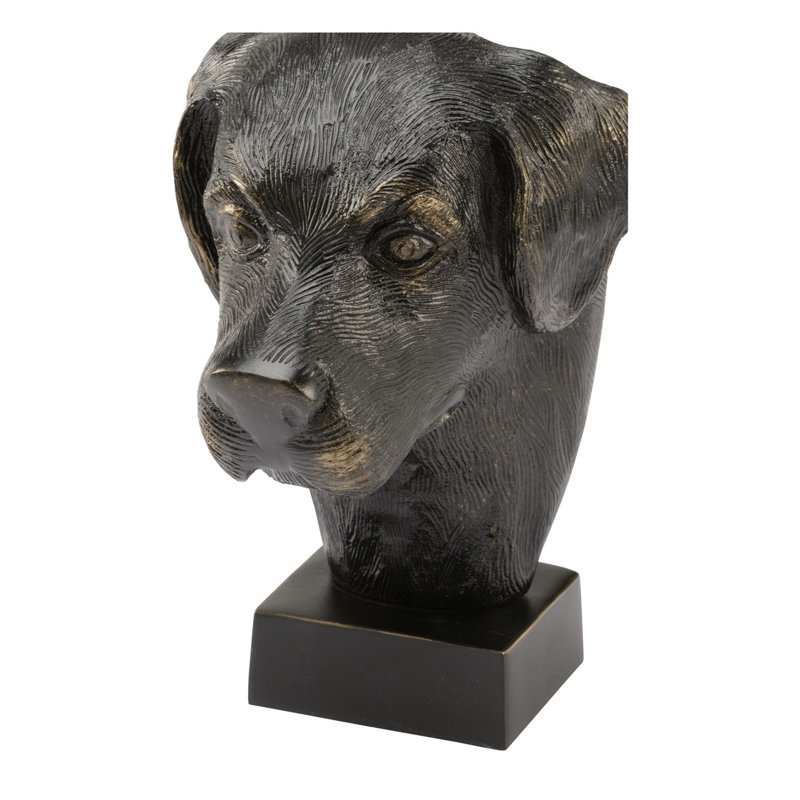 Dex Bust