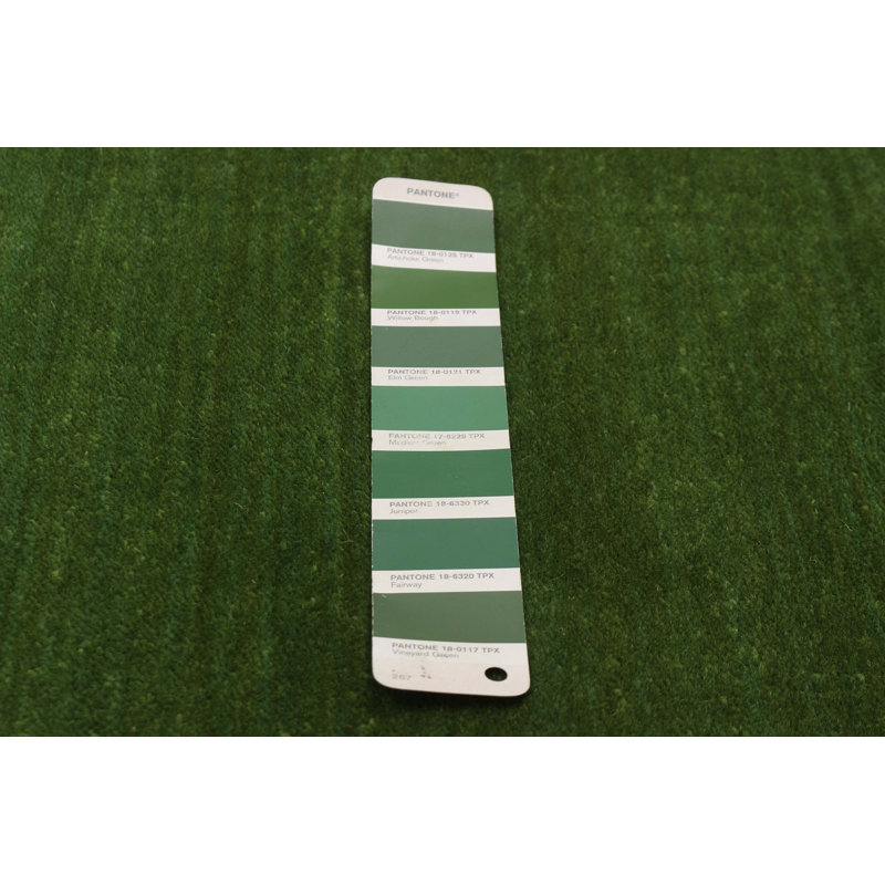 Kashkuli Gabbeh Green Rug 2'8" x 9'9"