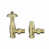 Polished Brass