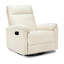 Suzy Recliner And Swivel Glider-87215868