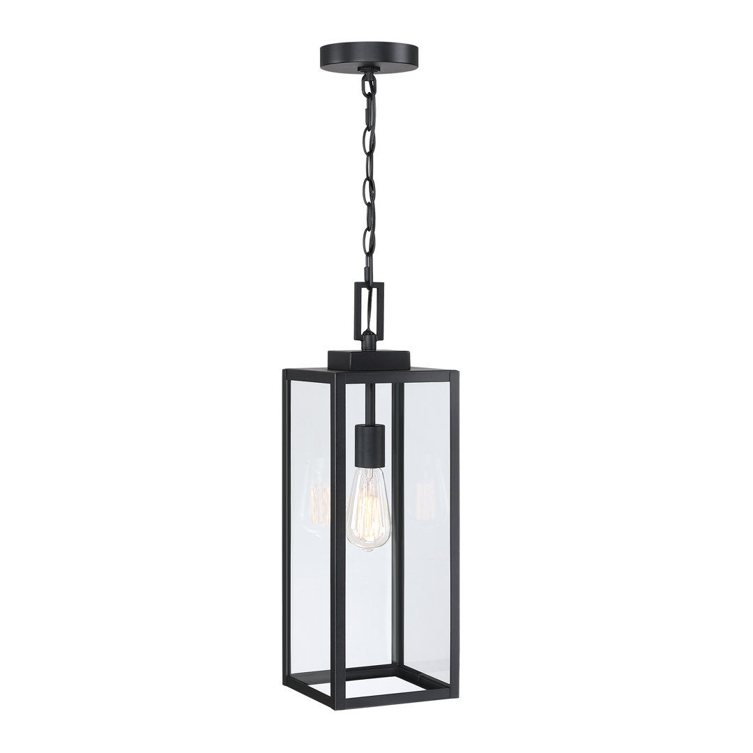 1-Light Outdoor Hanging Lantern Pendant with Matte Black Finish 17 Stories 