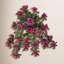 Plante d'azalée suspendue 24 "UV