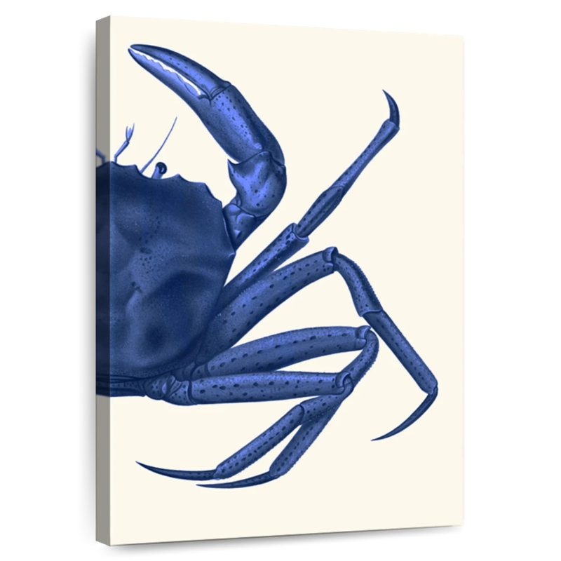 Crabe Brampt contrastant en bleu marine B, H 45 po x l 30 po
