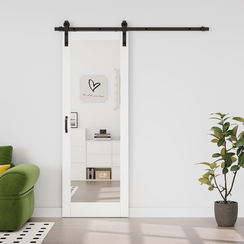 Aucun assemblage requis Panneau, porte de grange coulissante à double face H 84 po, 32 po x 84 po, Miroir 1-Lite