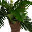 120cm Plant