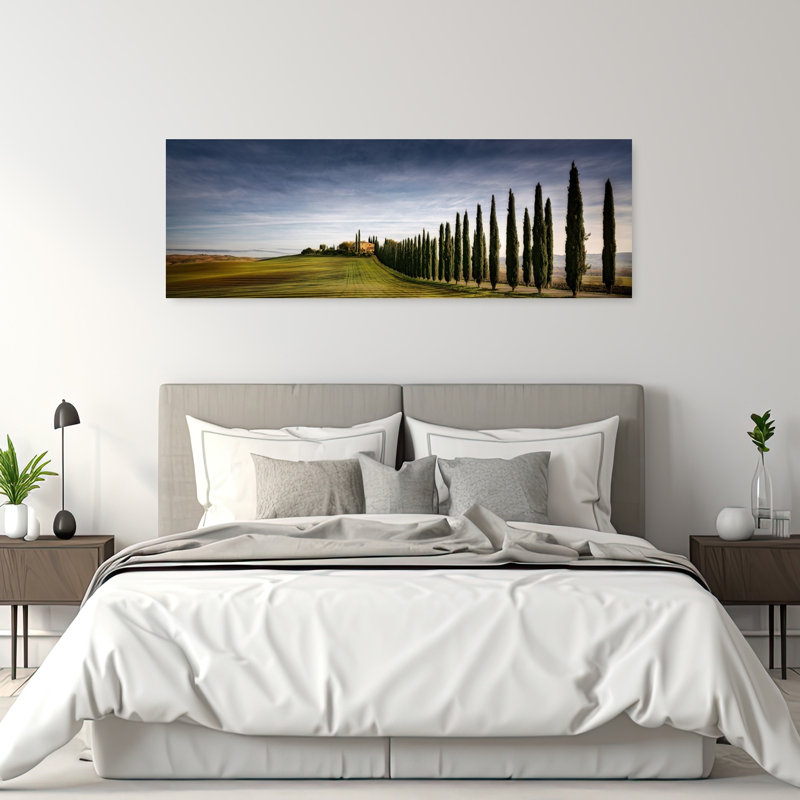 «Cypress toscan», art dramatique paisible, paysage serein, cyprès, 20" H x 60" W