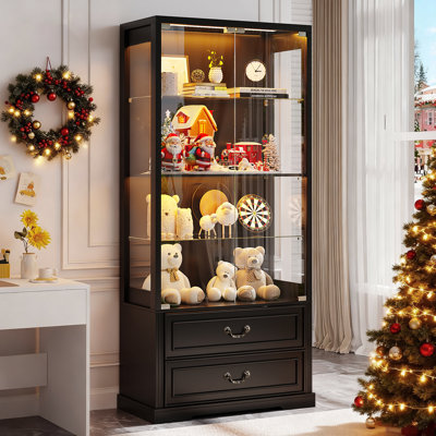 66" Tall  Display Cabinet by Winston Porter