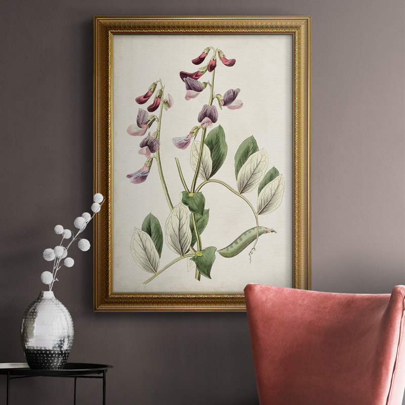 Antique Botanical Collection I, toile encadrée de qualité supérieure - prête à être accrochée, H 36 po x l 24 po x P 2,5 po