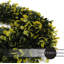 Couronne de verdure de porte d'entrée-63658157-128837937-136073439