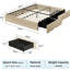 Cadre de lit Queen avec 2 tiroirs de rangement, lit plateforme en bois, cadre de chambre à coucher avec rangement-719012947-719012944