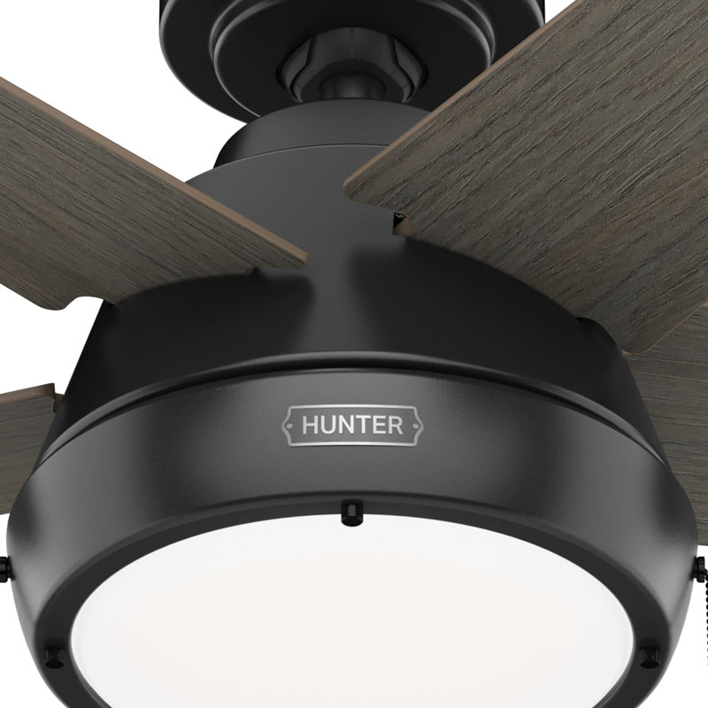 Ventilateur de plafond standard à 5 pales de 44 po avec télécommande et ensemble d'éclairage inclus Burroughs, Noir mat