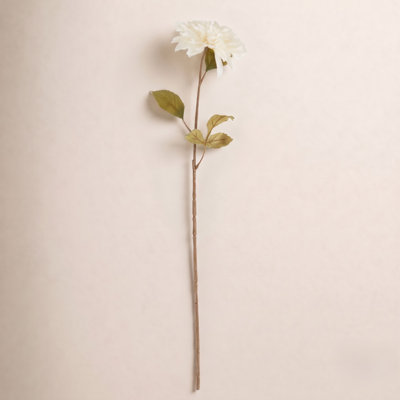 Rimma Dahlia Stems